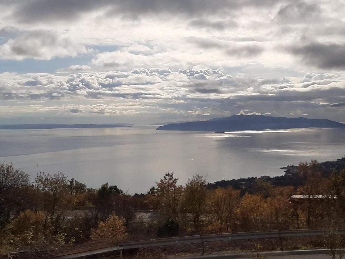 Apartment Koric Opatija Exterior foto